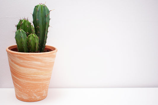 PixelPop Smart Plant Pot